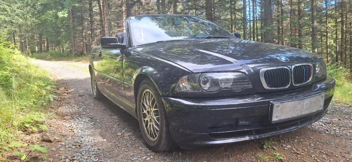 BMW 3 Series 2002 photo 2