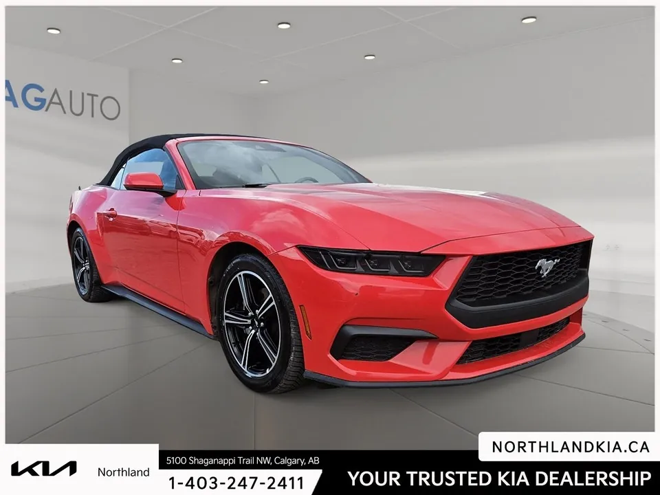 Ford Mustang 2025 photo 5