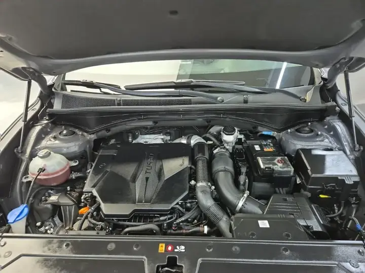 Hyundai Santa Fe 2021 photo 5