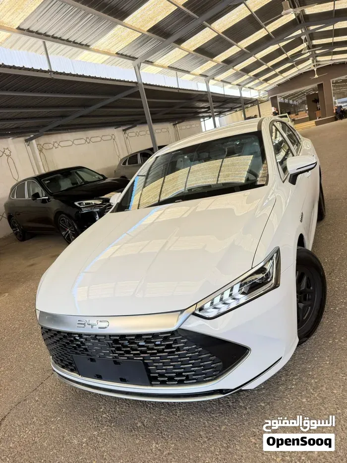 BYD Qin Plus 2026 photo 2