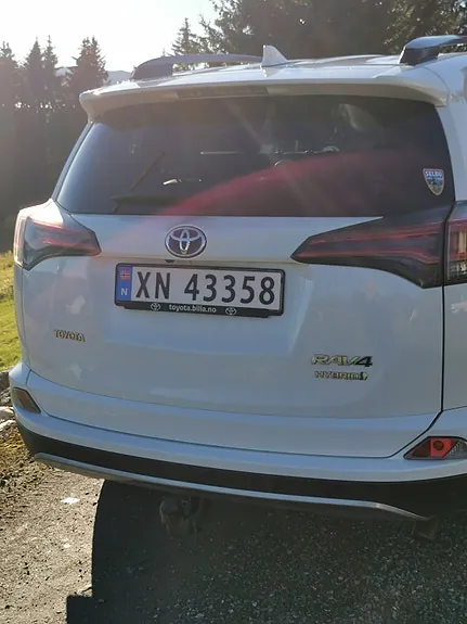 Toyota Rav4 2018 photo 3
