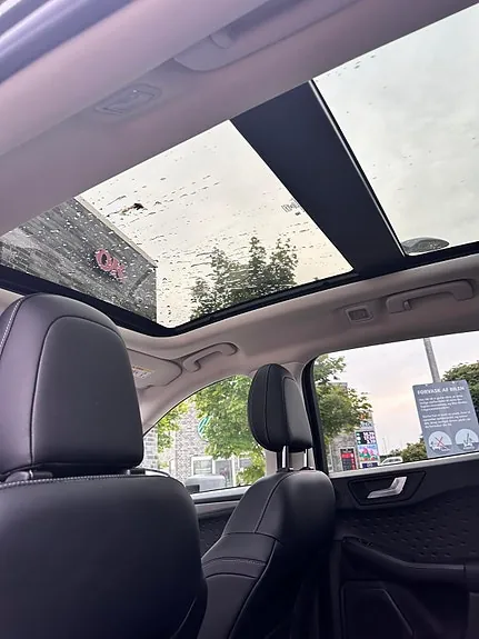 Ford Kuga 2020 photo 2