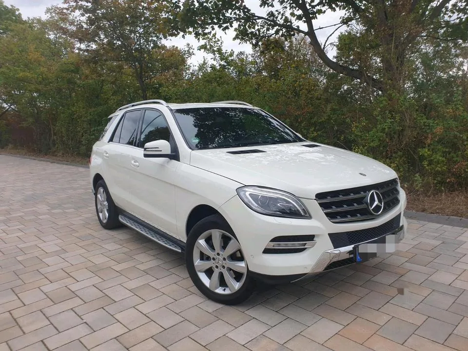 Mercedes-Benz Ml 250 Cdi Bluetec