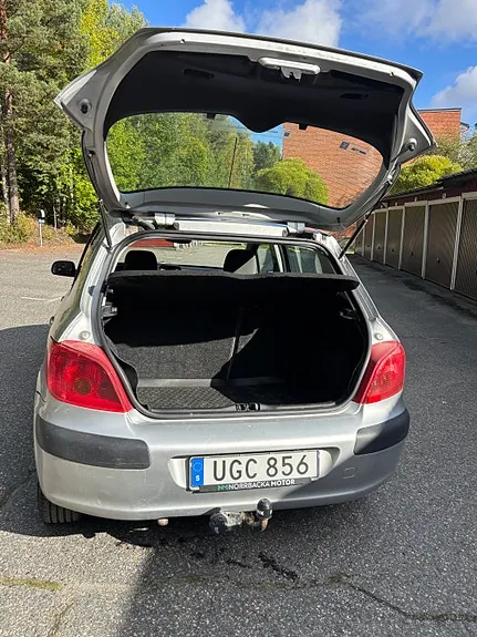 Peugeot 307 2003 photo 4