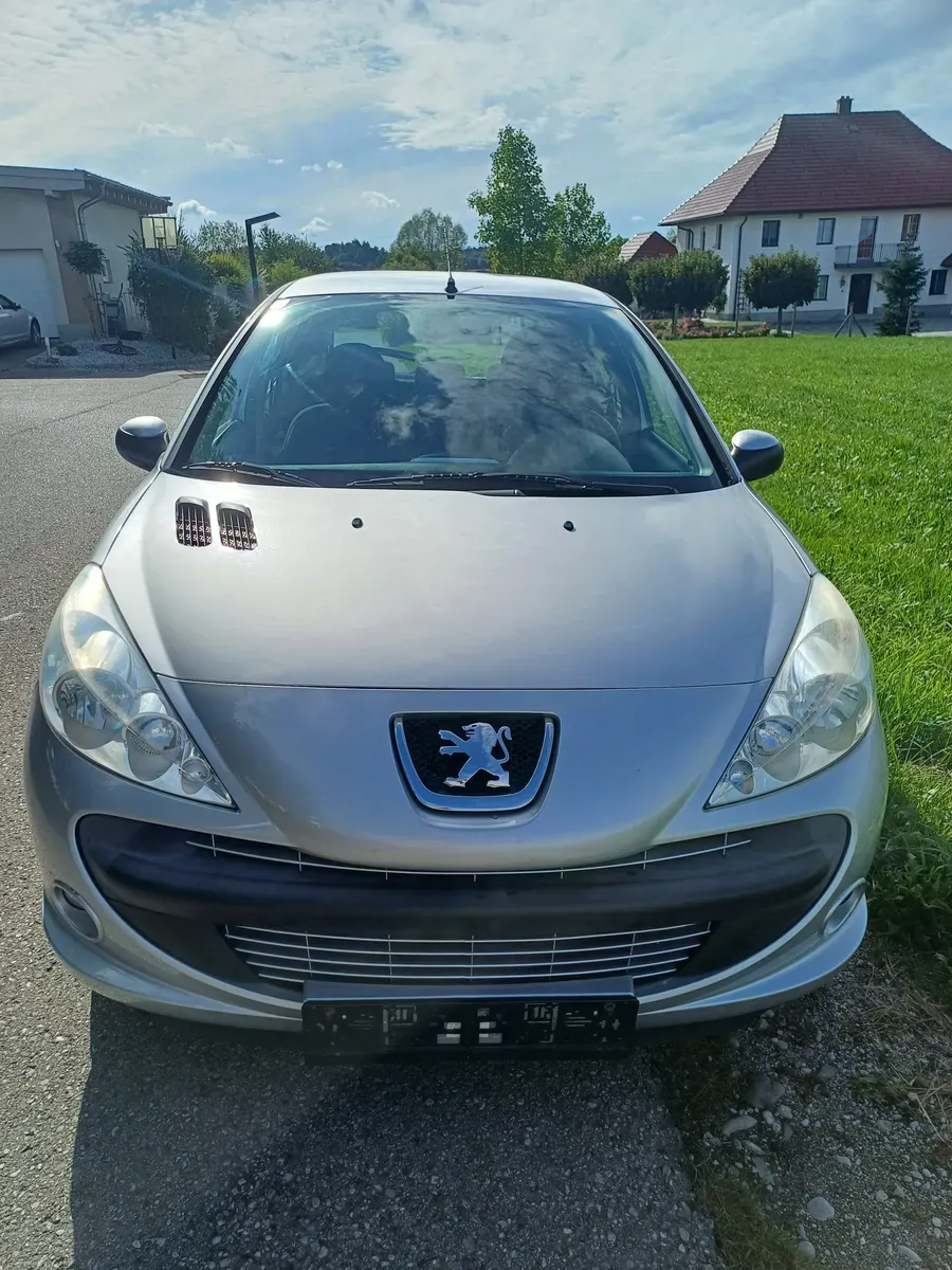 Peugeot 206 2009 photo 3