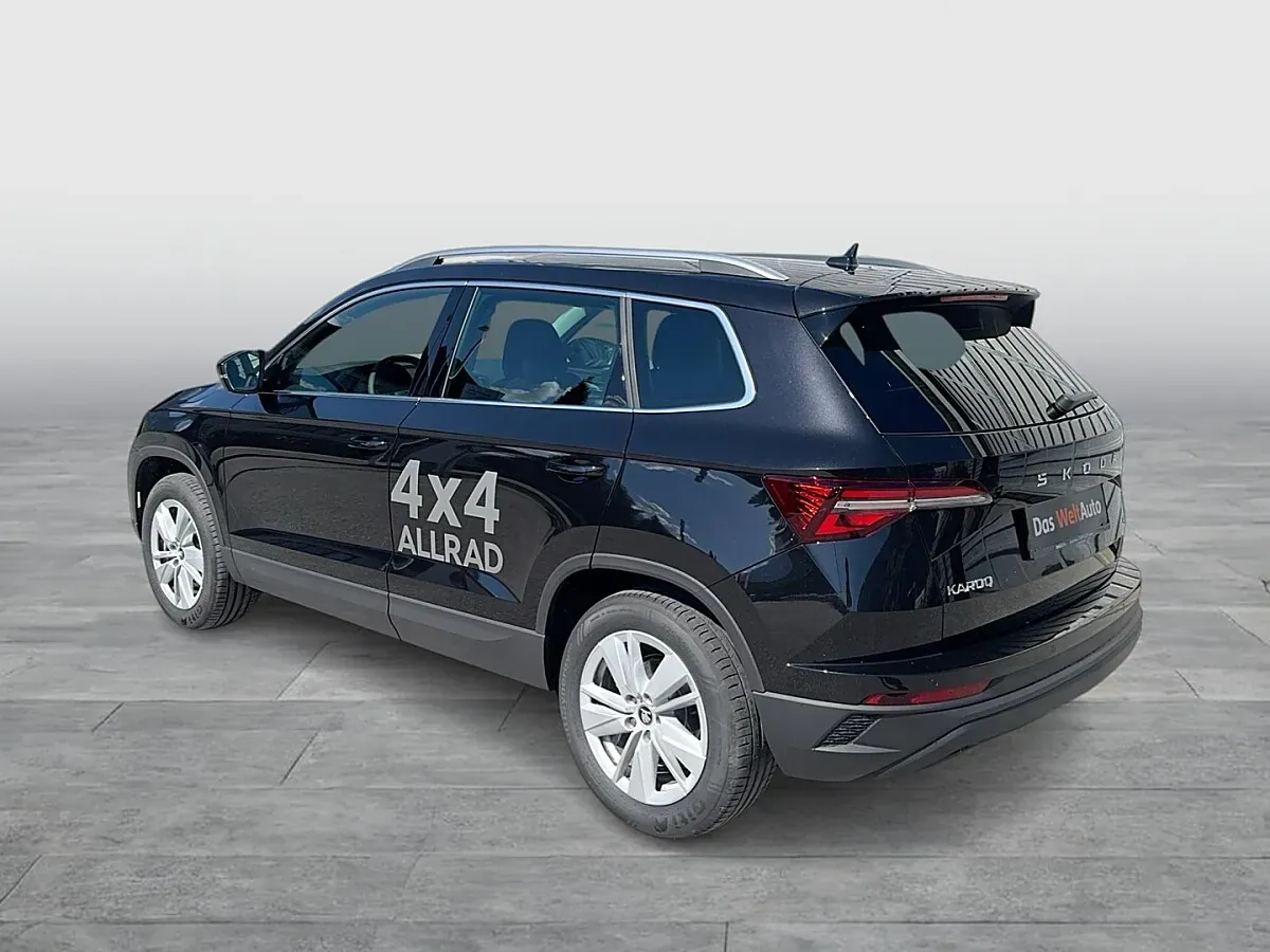 Skoda Karoq 2026 photo 3