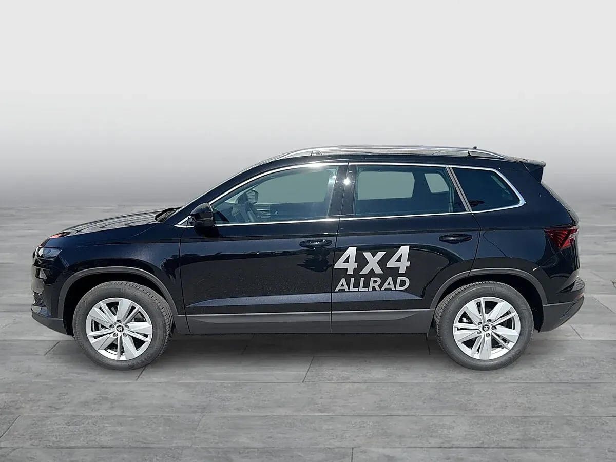 Skoda Karoq 2026 photo 2