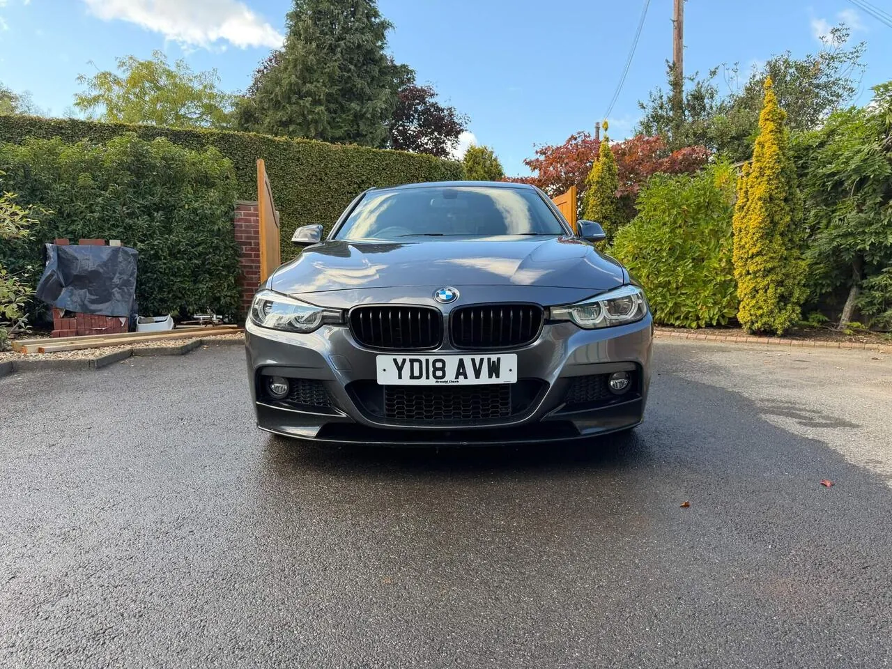 BMW 3 Series 2018 photo 3