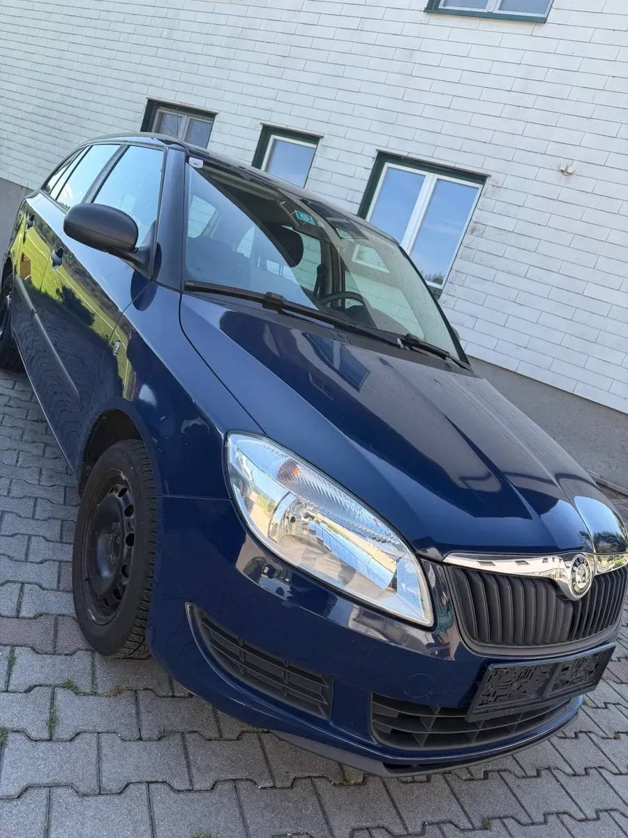 Skoda Fabia 2010 photo 2