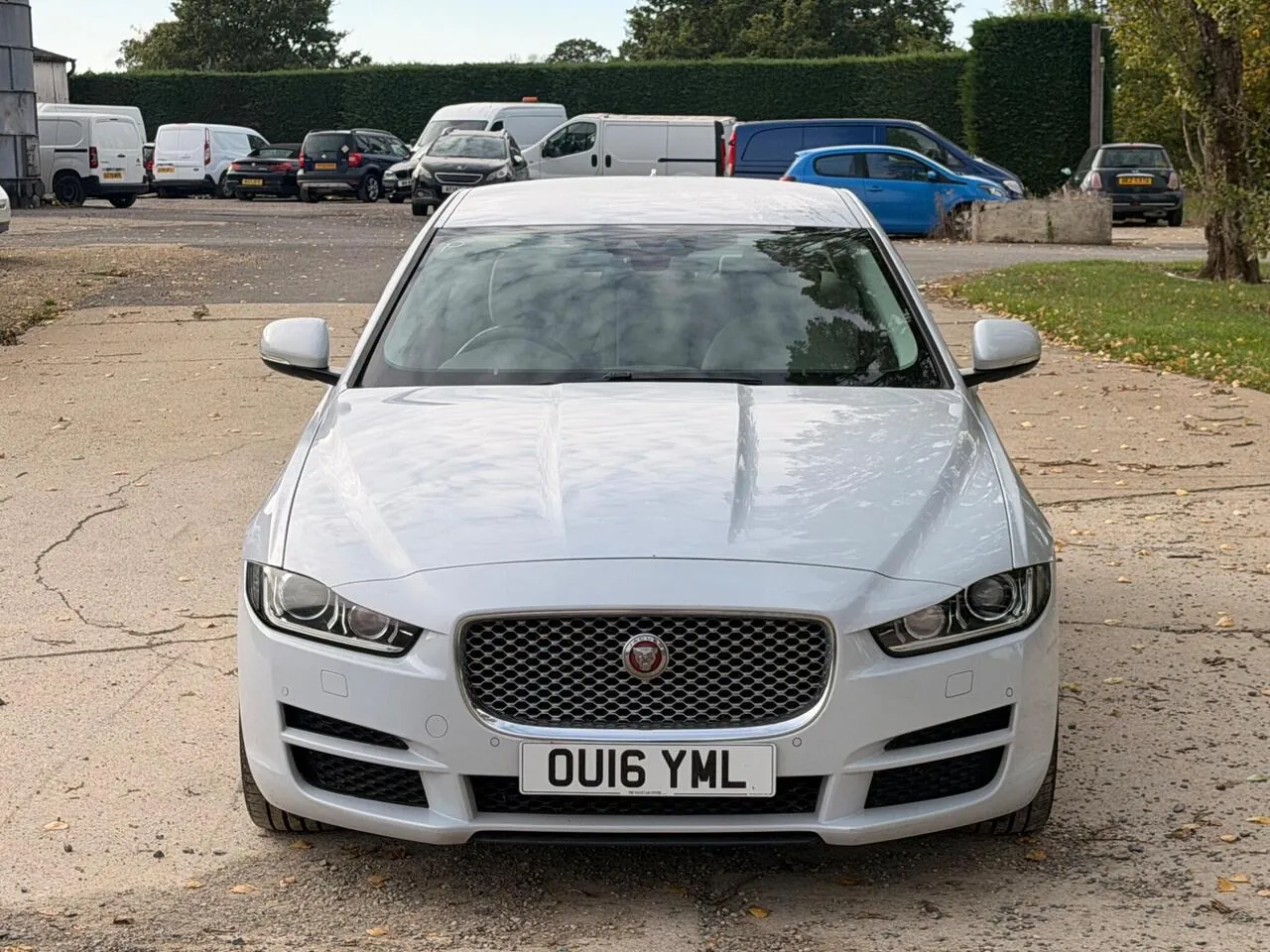 Jaguar Xe 2016 photo 4