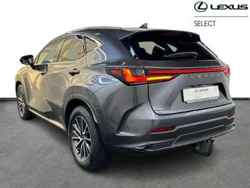 Lexus Nx 2024 photo 2