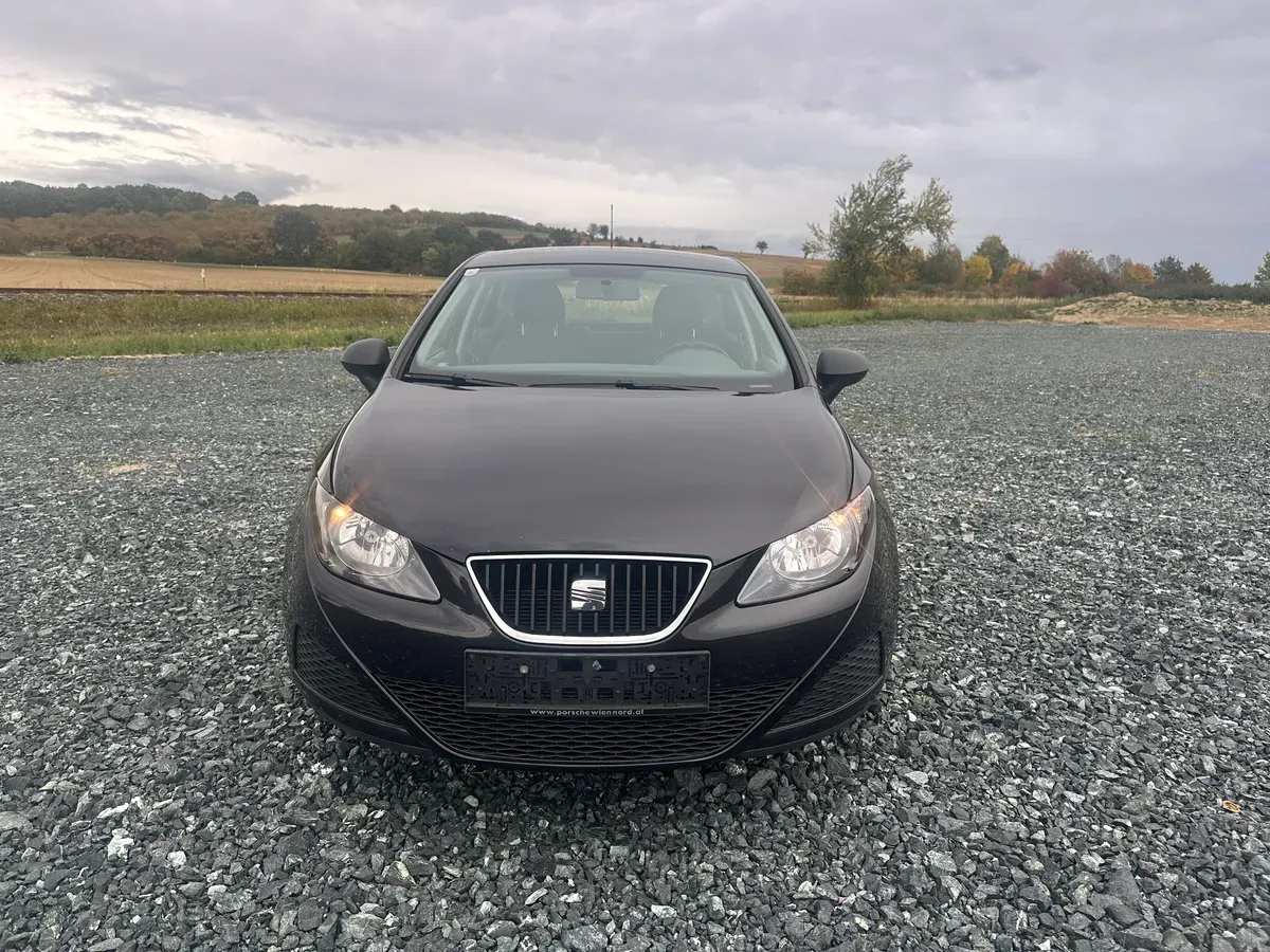 Seat Ibiza 2010 photo 2