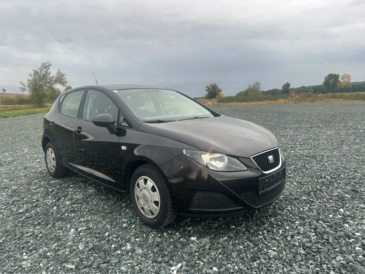 Seat Ibiza 2010 photo 3