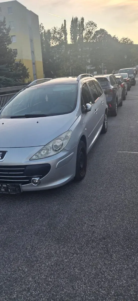 Peugeot 307 2007 photo 3