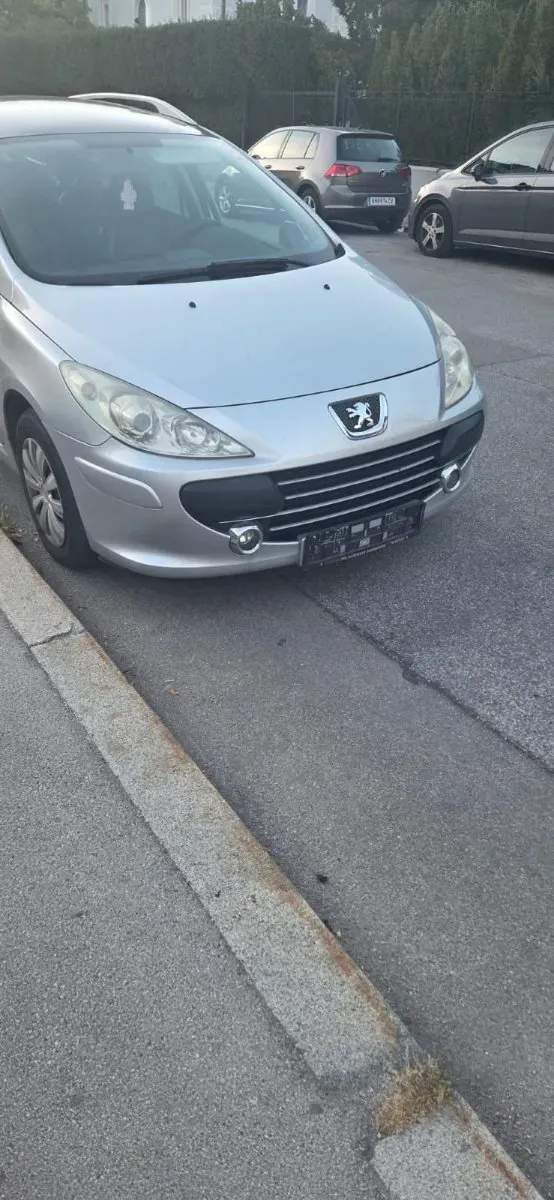 Peugeot 307 2007 photo 2