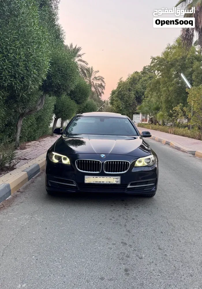 BMW 5 Series 2014 photo 4