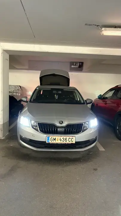 Skoda Octavia 2019 photo 3
