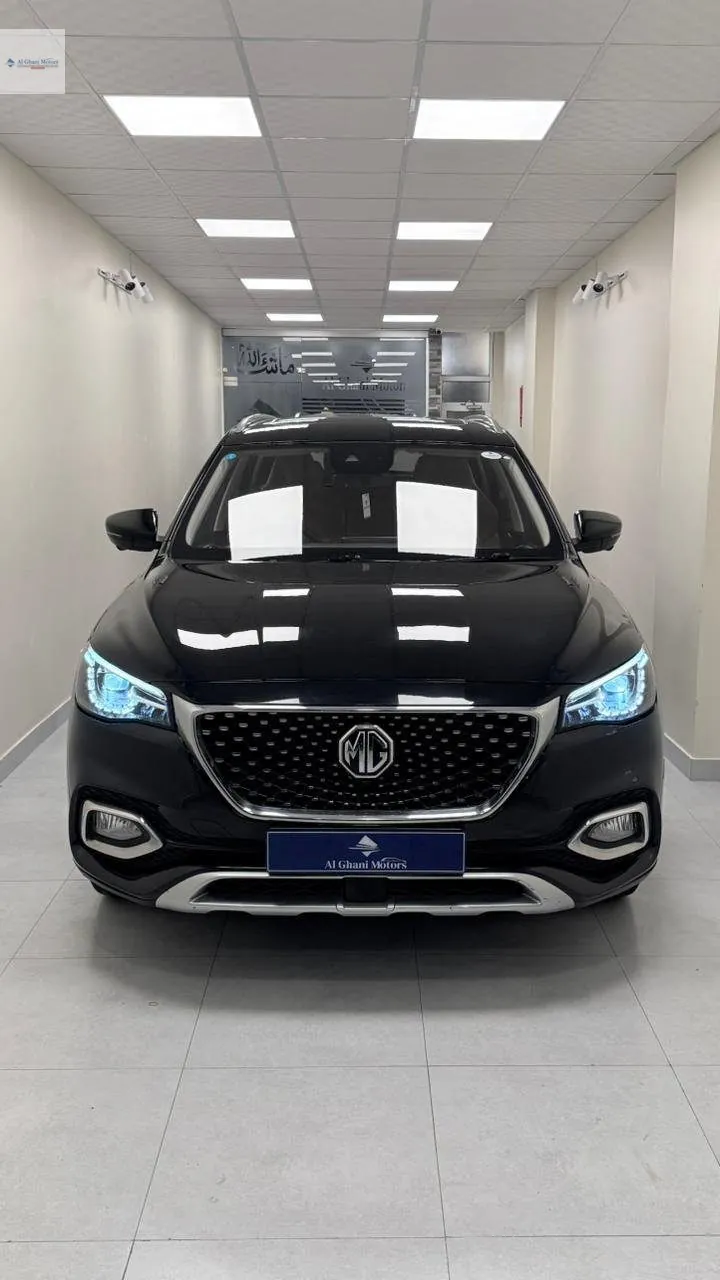 MG Hs