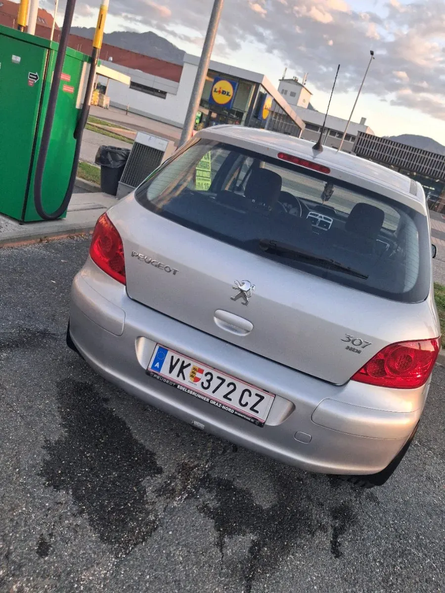 Peugeot 307 2007 photo 3