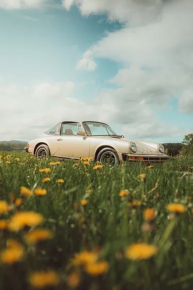 Porsche 911 1976 photo 2