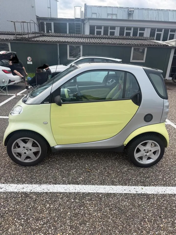 Smart For Two