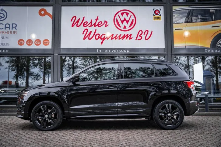 Skoda Karoq 2021 photo 3