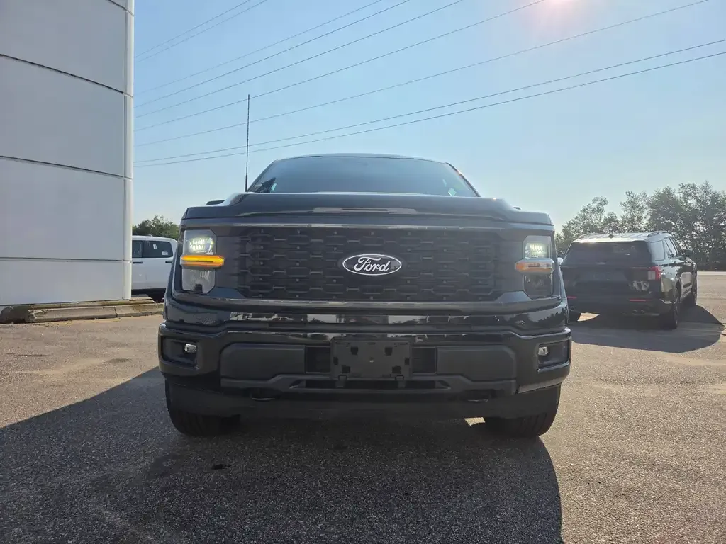 Ford F-150 2024 photo 2