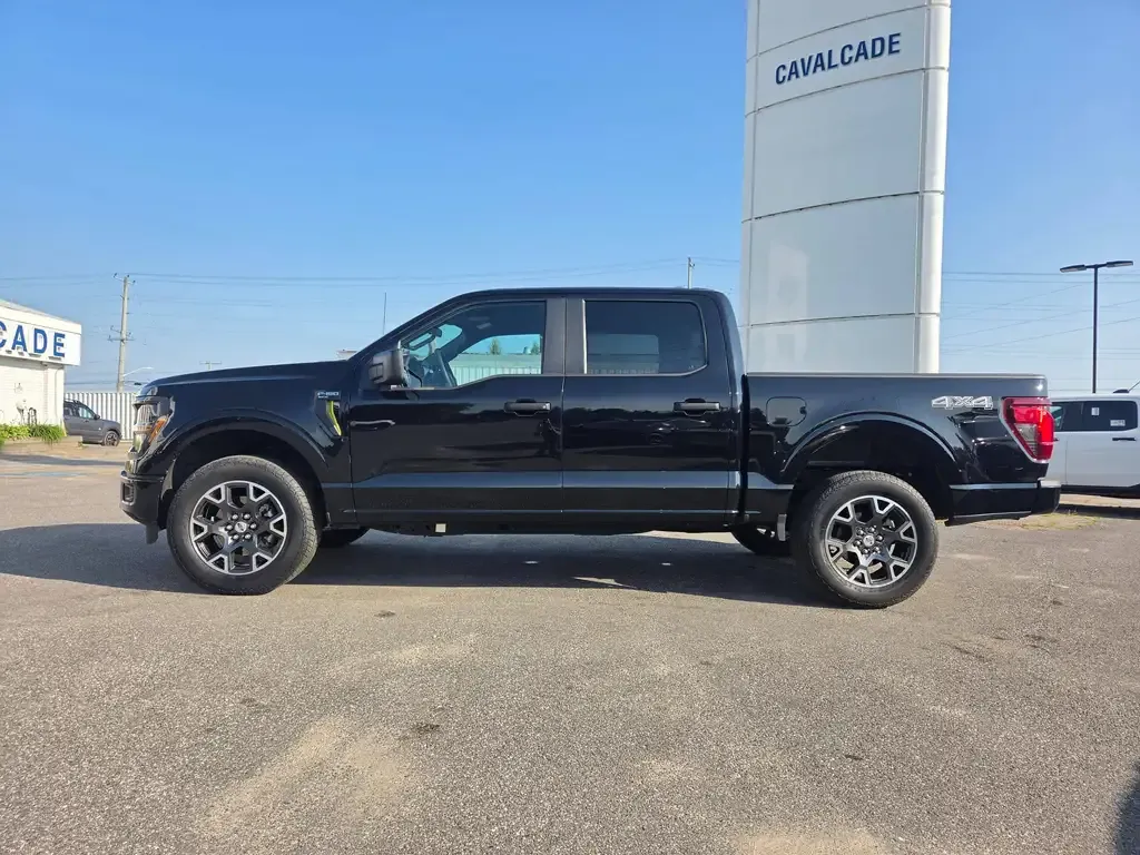 Ford F-150 2024 photo 3