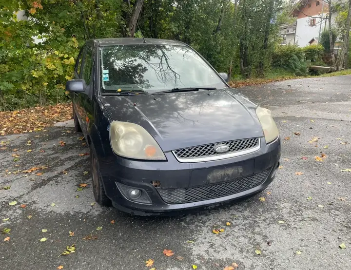 Ford Fiesta 2008 photo 2