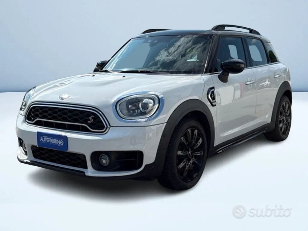 Mini Mini Countryman