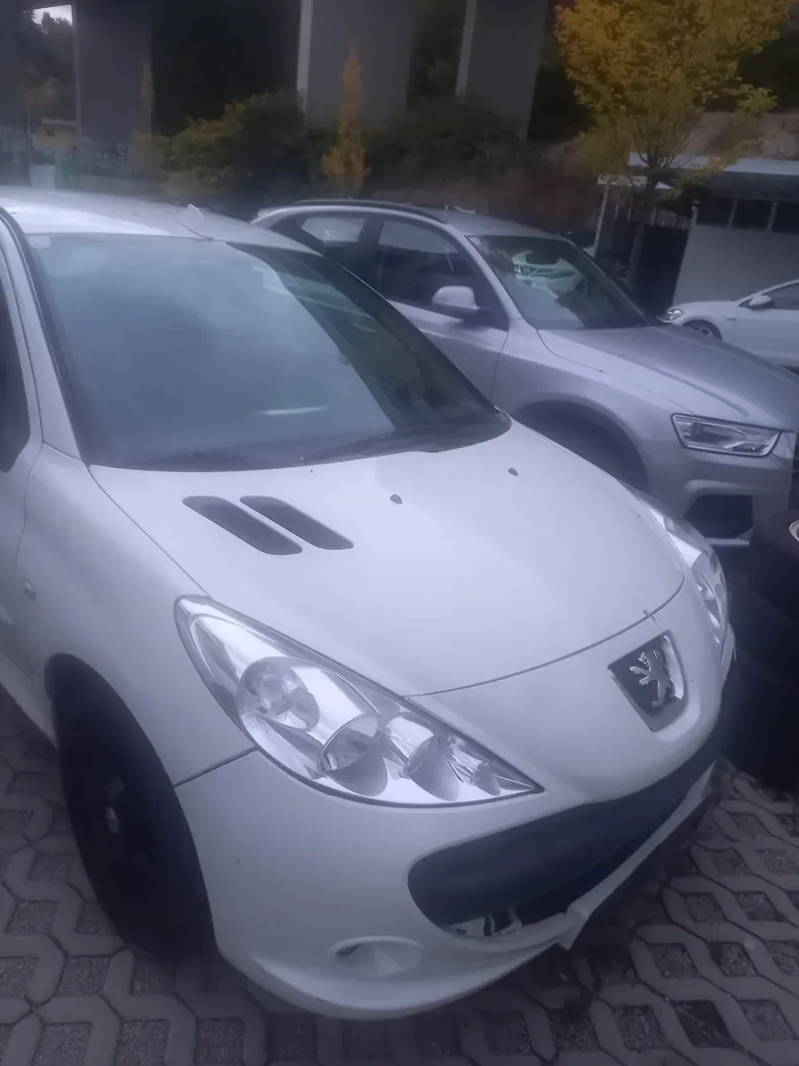 Peugeot 206 2009 photo 2