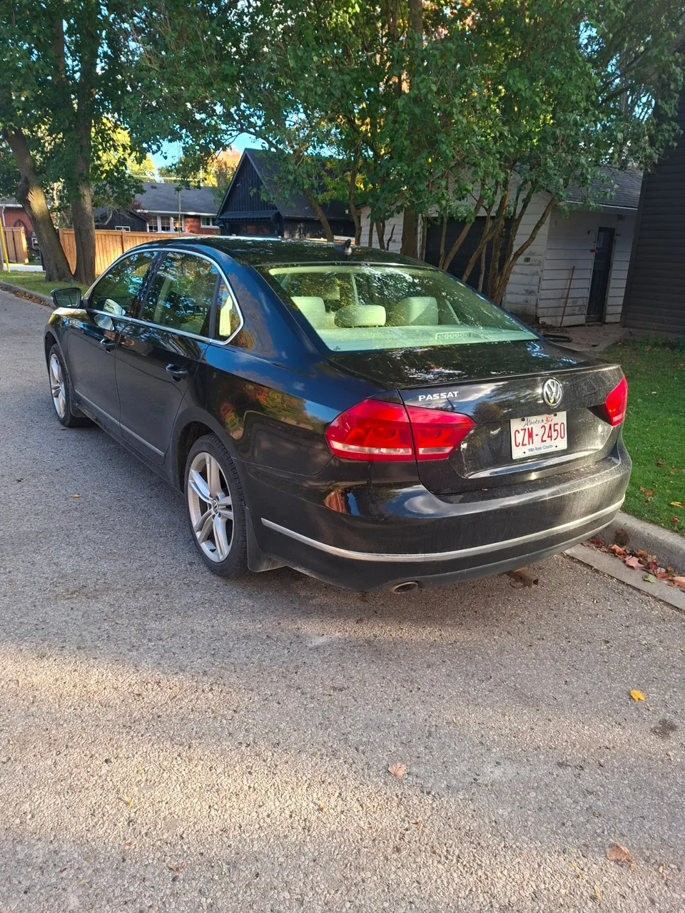 Volkswagen Passat 2014 photo 4