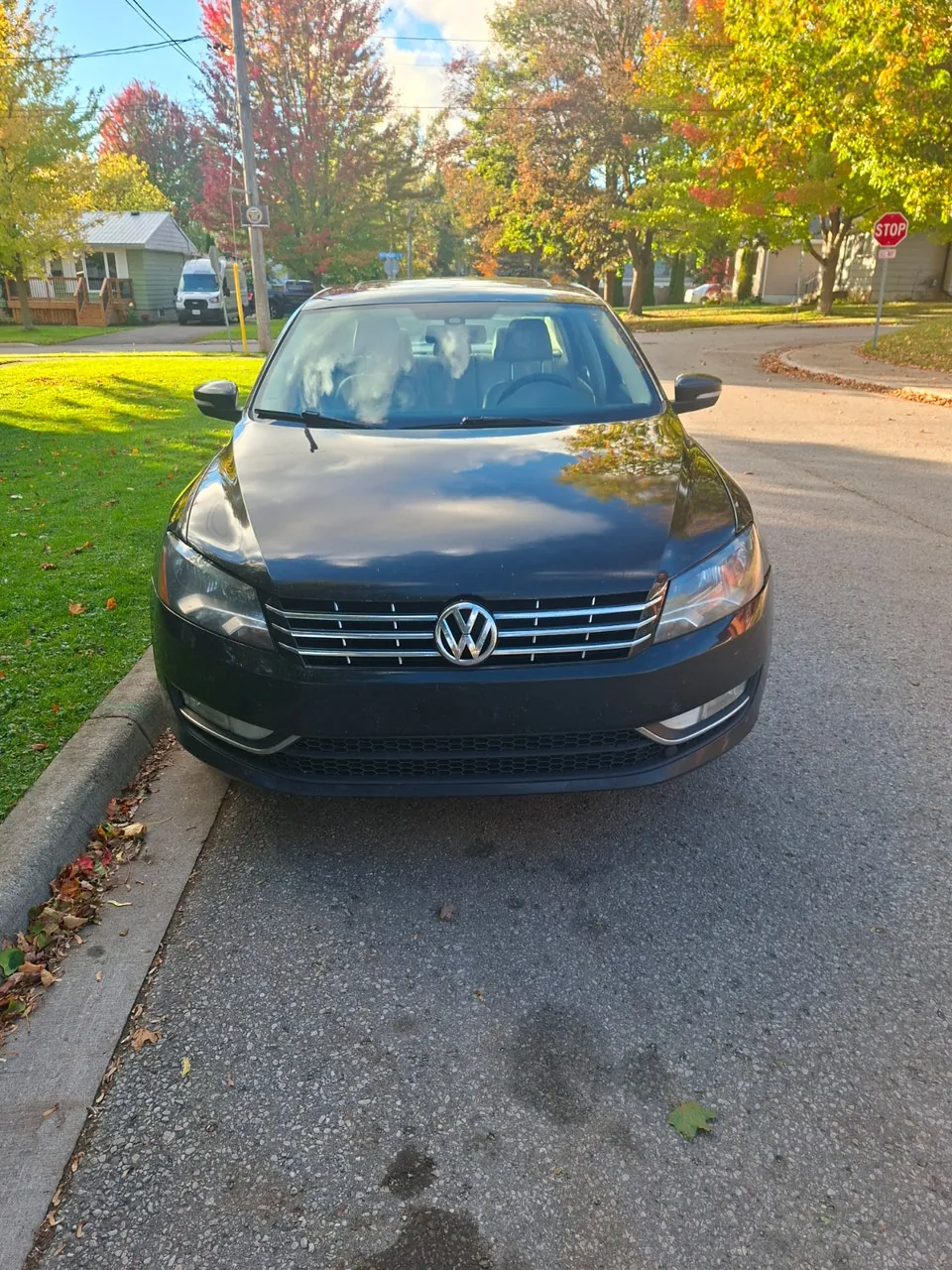Volkswagen Passat 2014 photo 2