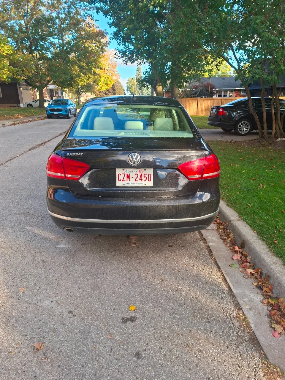 Volkswagen Passat 2014 photo 5