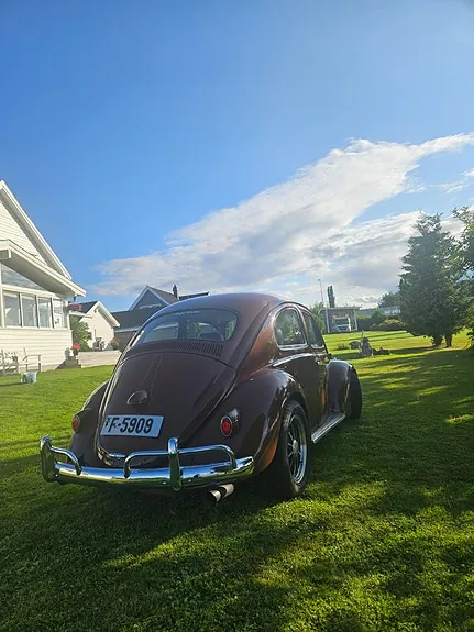Volkswagen Type 1 1959 photo 2