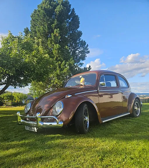 Volkswagen Type 1