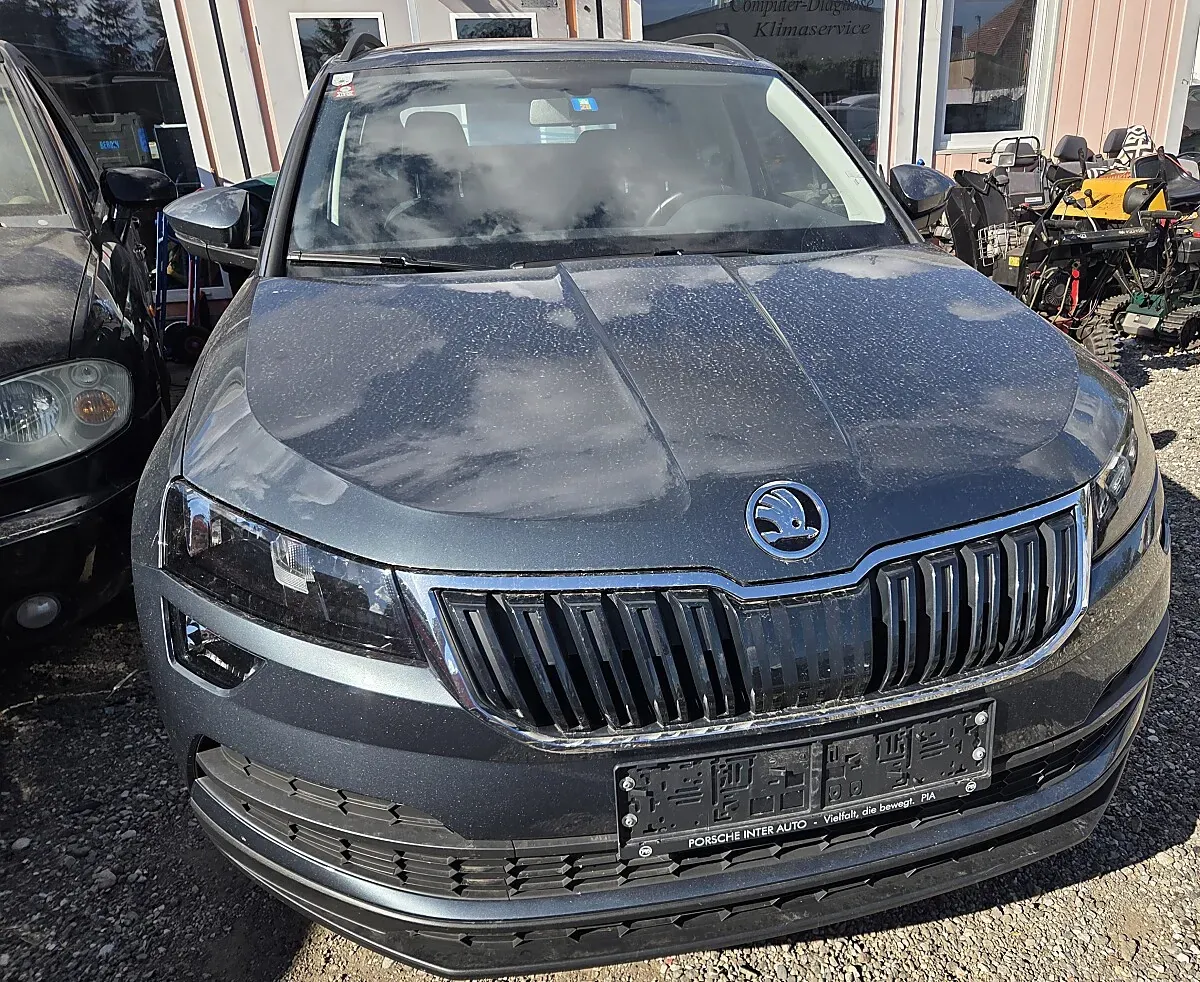 Skoda Karoq 2020 photo 3