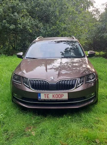 Skoda Octavia 2020 photo 2