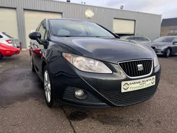 Seat Ibiza 2011 photo 2