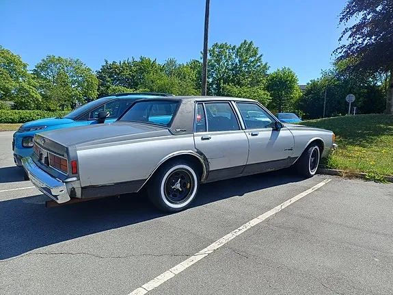 Chevrolet Caprice 1979 photo 4
