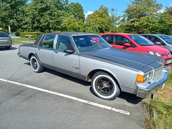 Chevrolet Caprice 1979 photo 3