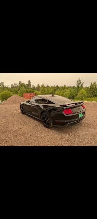 Ford Mustang 2022 photo 3