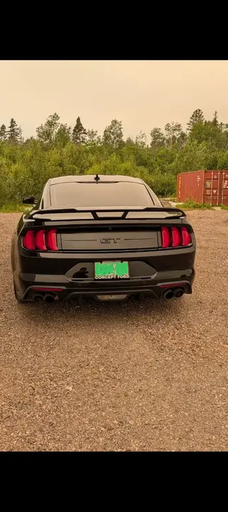 Ford Mustang 2022 photo 2