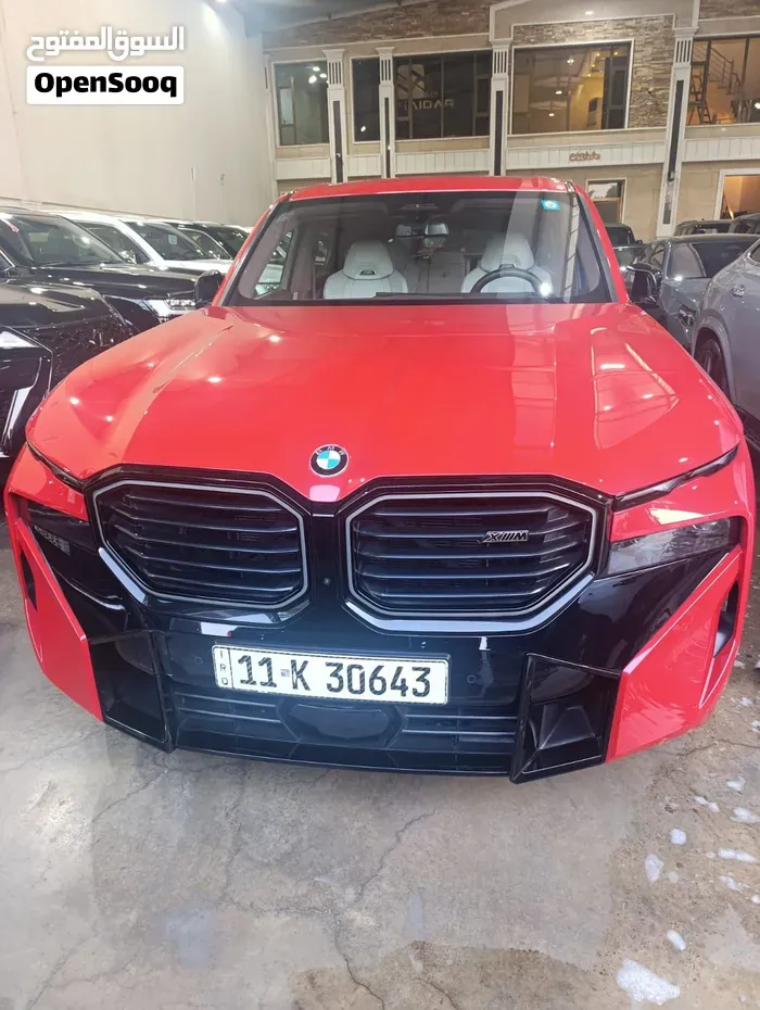 BMW Xm
