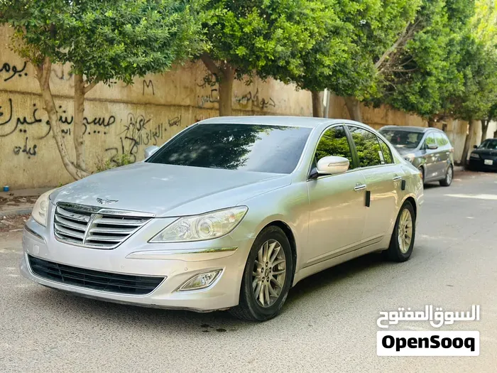 Genesis Sonata 2010 photo 4