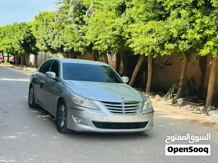 Genesis Sonata 2010 photo 2