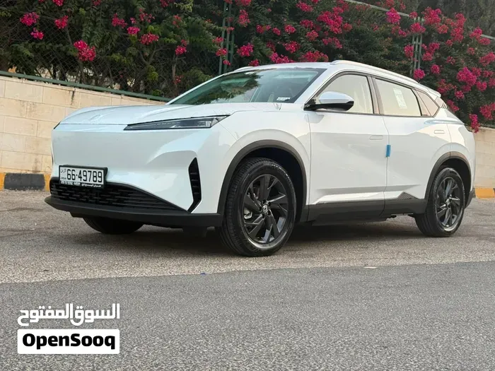 Dongfeng Mage Ev