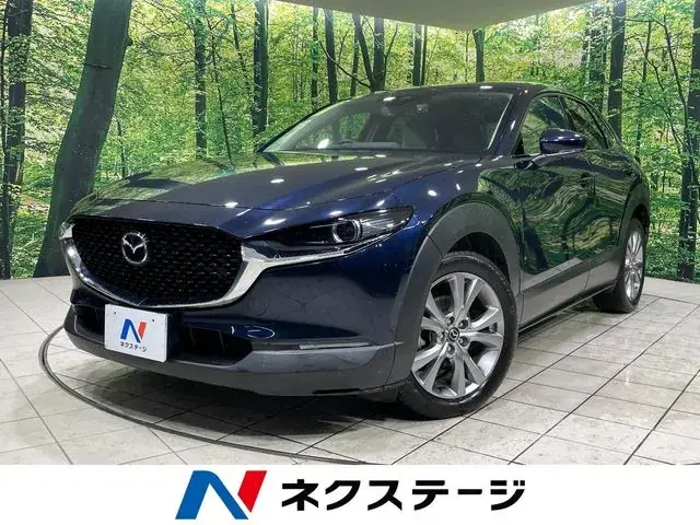 Mitsubishi Cx-30