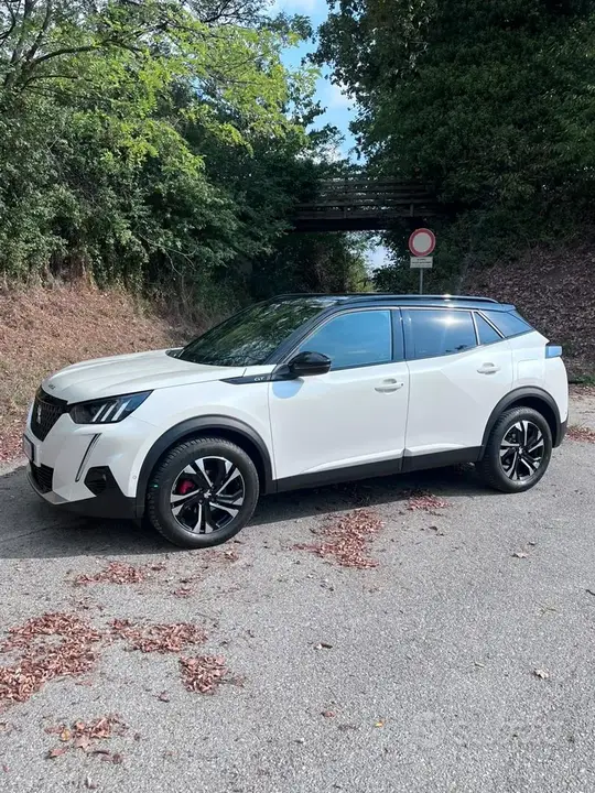 Peugeot 2008 2021 photo 2