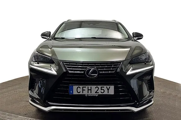 Lexus Nx300H 2020 photo 3